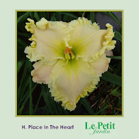 Le Petit Jardin 04