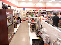 Money Mart Pawn & Jewelry 02