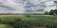 Rural Development 01