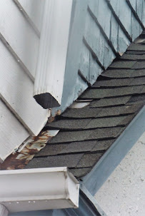 Amelia's Home Inspection 02