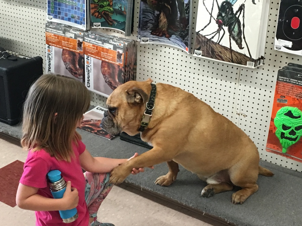 Bestway Pawn 01