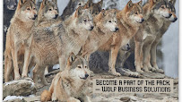 Wolf Business Solutions Inc. 01