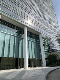 Silver Dollar Financial 02