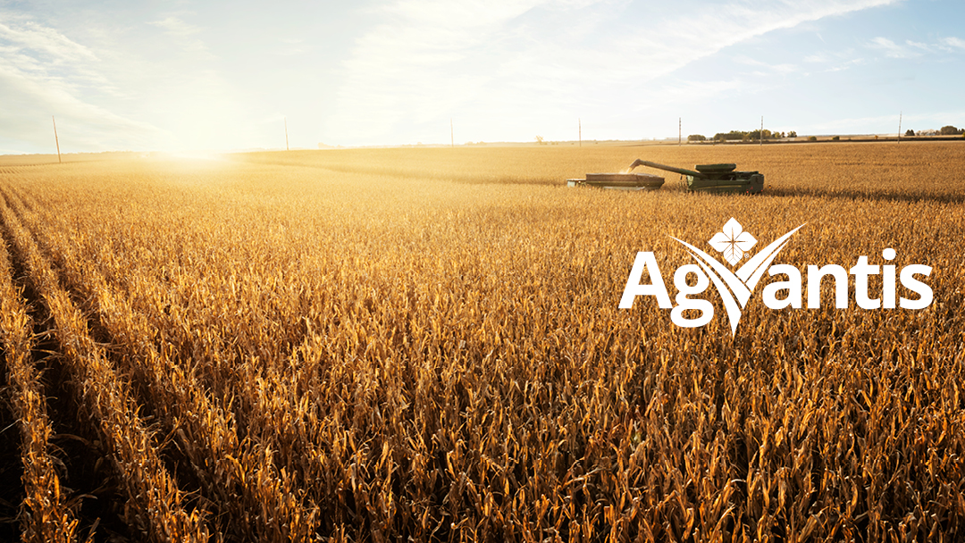 AgVantis, Inc. 01