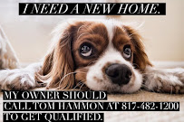 Tom Hammon the Texas Loan Arranger - Trademark Mortgage 02