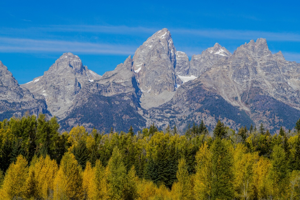 Mossy Oak Properties Wyoming Outdoors 01