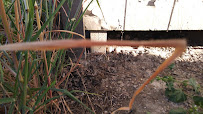 Family Home Financial 03