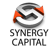 SYNERGY CAPITAL 02