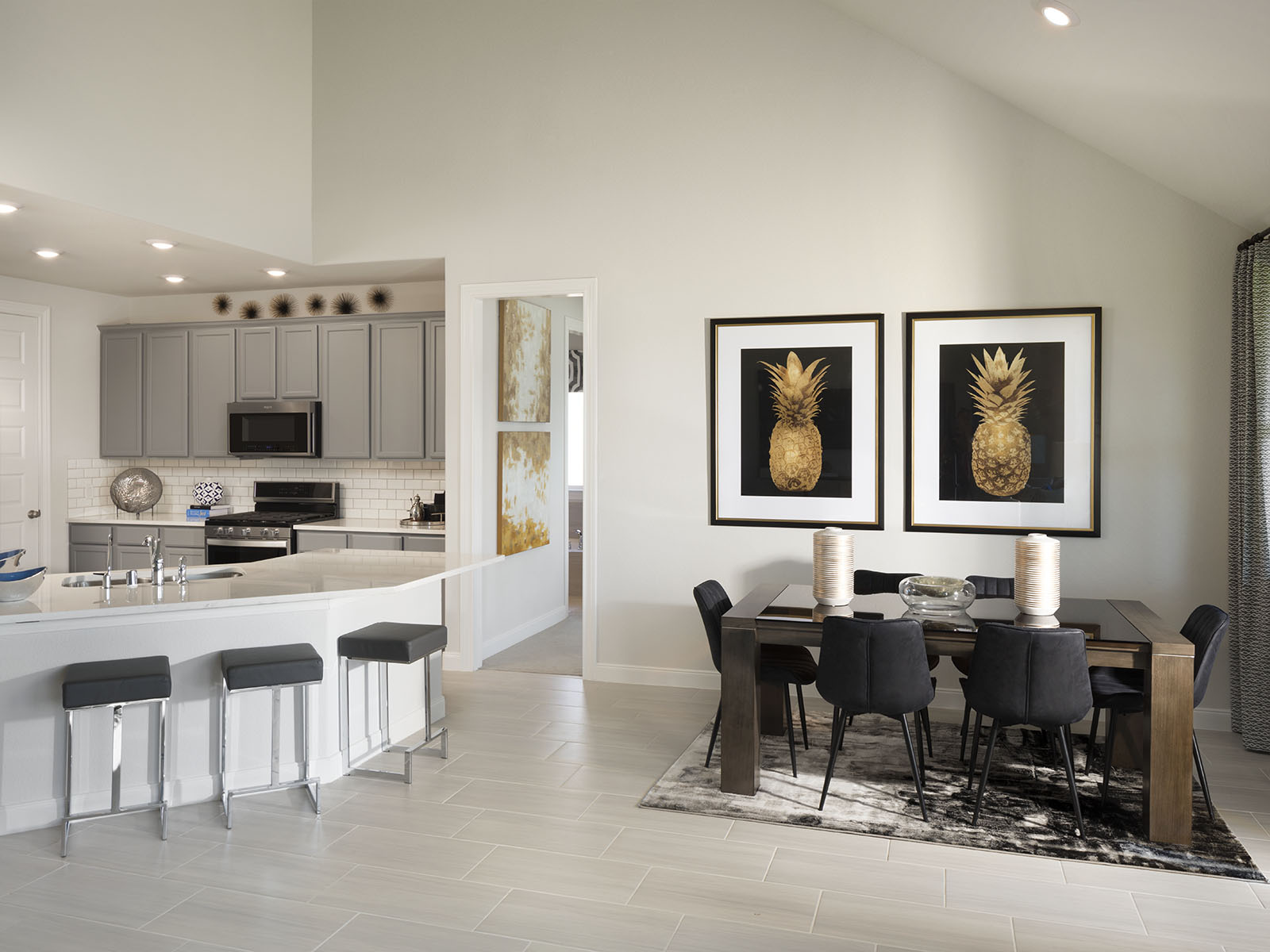 Dry Creek Village by Meritage Homes 01