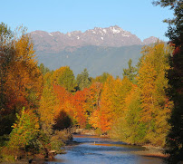Windermere Hood Canal-Vacation Rental 04