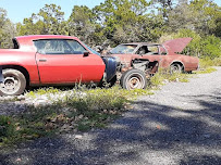 Snake Road Auto Salvage 04