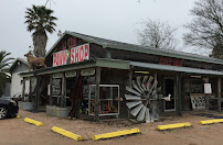 N 2 Cash Pawn 04