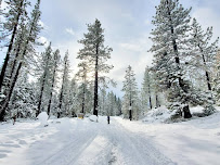 LAKES BASIN 03