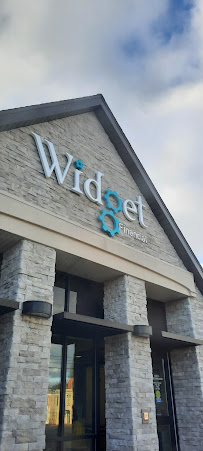 Widget Financial 02
