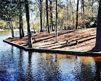Pinnacle Exterior Construction, LLC. 04