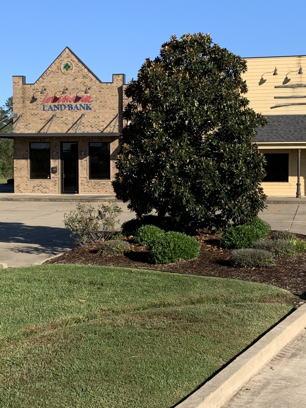 Louisiana Land Bank 01