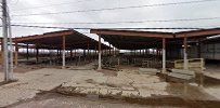 Oklahoma National Stockyards 01