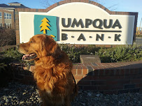 Umpqua Bank 02