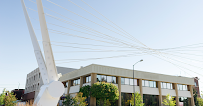 STCU: Downtown Coeur d'Alene Branch 01