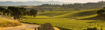 Farm First Financial 02