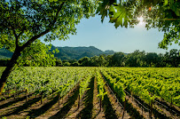 Farm First Financial 03