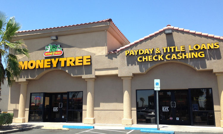 Moneytree 01