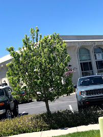 Cyprus Credit Union 02