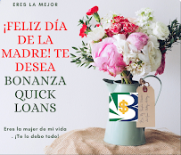 Bonanza Quick Loans 03