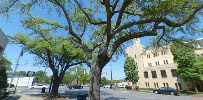 PNC Bank 03