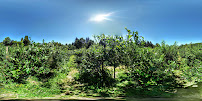 Blueberry Patch Farm 03