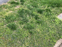 Meriweather Mowing Service 02