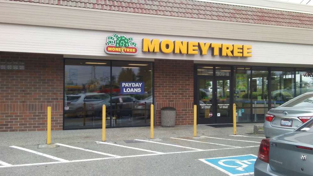 Moneytree 01