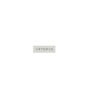 Artemus LLC 04