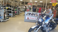 Big Brothers Pawn 01