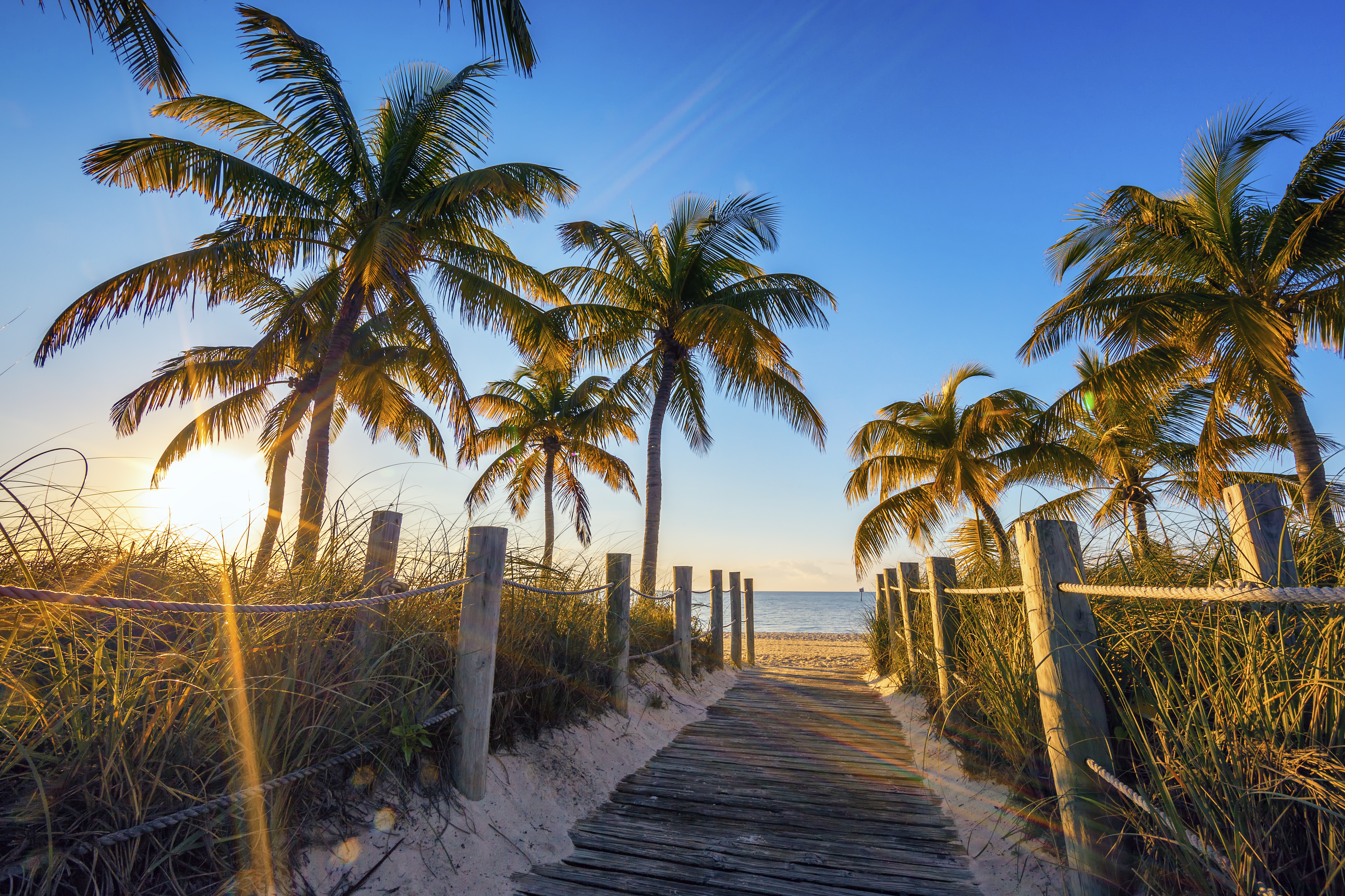 At Home in Key West 01