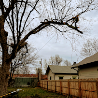 Monster Tree Service of Green Country East 03