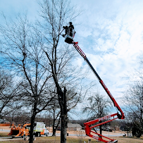 Monster Tree Service of Green Country East 04