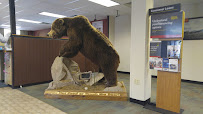 Wells Fargo Bank 02