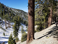 Icehouse Saddle 02