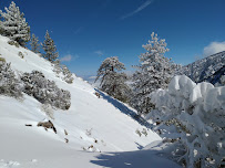 Icehouse Saddle 03