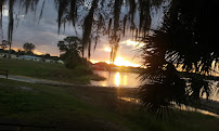 Palsgrove's Sweet Dreams 01