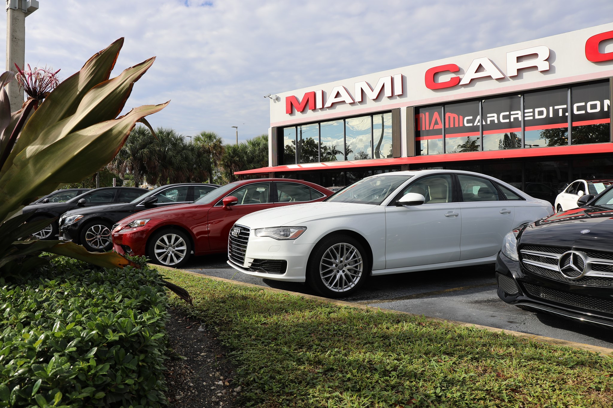 Miami Car Credit 01