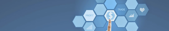 Bayard Business Capital and Consulting Inc. 03