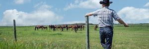 Colorado Farm Bureau Insurance-Mike Smith 01