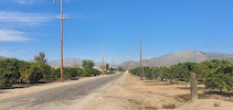 Lemon Cove Citrus Company LLC 03