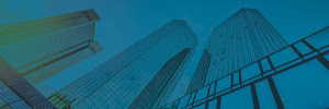 Greystone & Co., Inc. 01