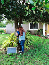 Land Home Financial Services - Cape Coral 03