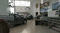 Young Volkswagen 04