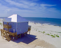 ACP Real Estate, Inc. 02