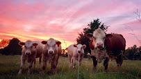 Alabama Farm Credit- Administrative Office 04